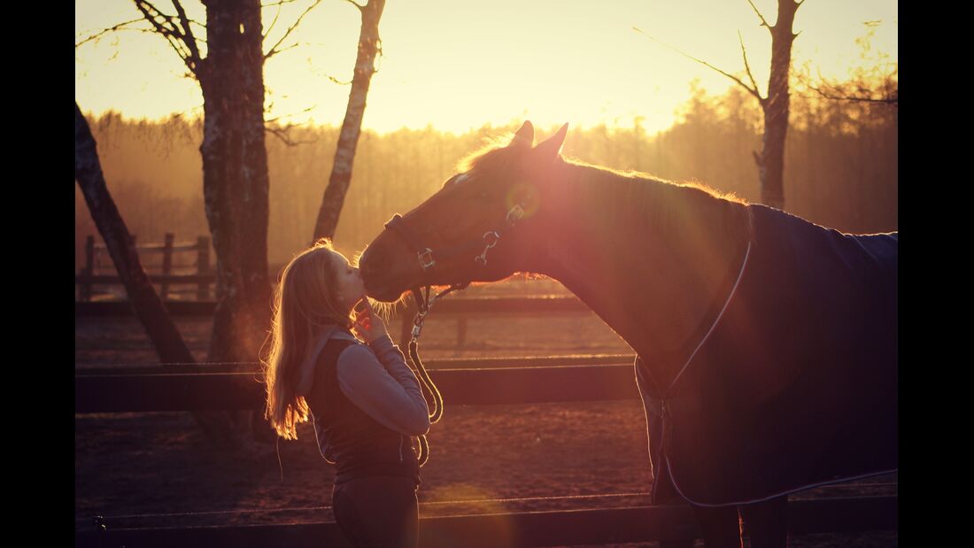 CAV CEWE Fotowettbewerb 2013 Leserfotos Lotta Schultchen - Lesertext: Das Bild ist an einem Sonnenuntergang im Mai entstanden! Ich habe meinem Pferd beigebracht mir ein Küsschen zu geben und dieses tolle Bild ist dabei heraus gekommen!