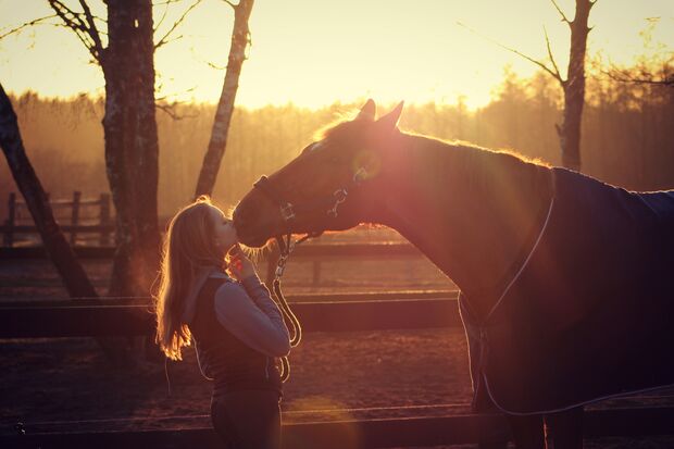 CAV CEWE Fotowettbewerb 2013 Leserfotos Lotta Schultchen - Lesertext: Das Bild ist an einem Sonnenuntergang im Mai entstanden! Ich habe meinem Pferd beigebracht mir ein Küsschen zu geben und dieses tolle Bild ist dabei heraus gekommen!