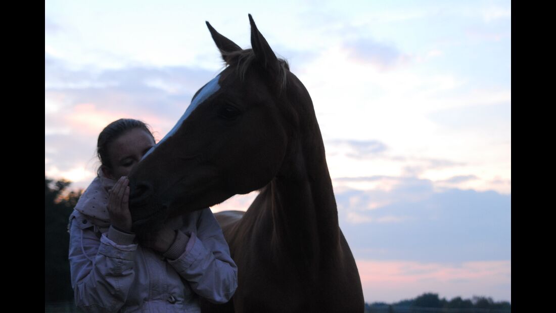 CAV CEWE Fotowettbewerb 2013 Leserfotos Marleen Baar - Lesertext: Das sind ich und meine DeutscheReitpferde Stute Amonett . Sie ist 7 Jahre alt :)
 Auf den Bildern sieht man uns mal außerhalb des Dressurtrainings und dem Turniertroubel. 
Beim Flitzen mit