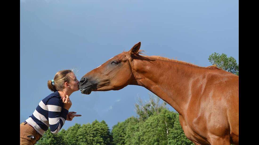 CAV CEWE Fotowettbewerb 2013 Leserfotos Marleen Baar - Lesertext: Das sind ich und meine DeutscheReitpferde Stute Amonett . Sie ist 7 Jahre alt :)
Auf den Bildern sieht man uns mal außerhalb des Dressurtrainings und dem Turniertroubel.
Beim Flitzen mit