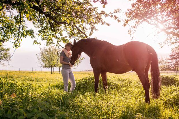 CAV CEWE Fotowettbewerb 2013 Leserfotos Thomas Hartig - Lesertext: Meine Frau und ihr Pferd, zwei Sonnenscheine die gemeinsam den Sommer genießen.