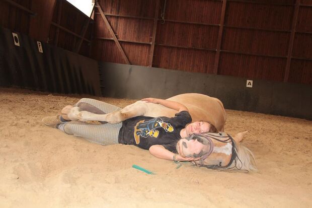 CAV CEWE Fotowettbewerb 2013 Leserfotos katja niedbalka - Lesertext: Amy ist das Pferd meines Lebens