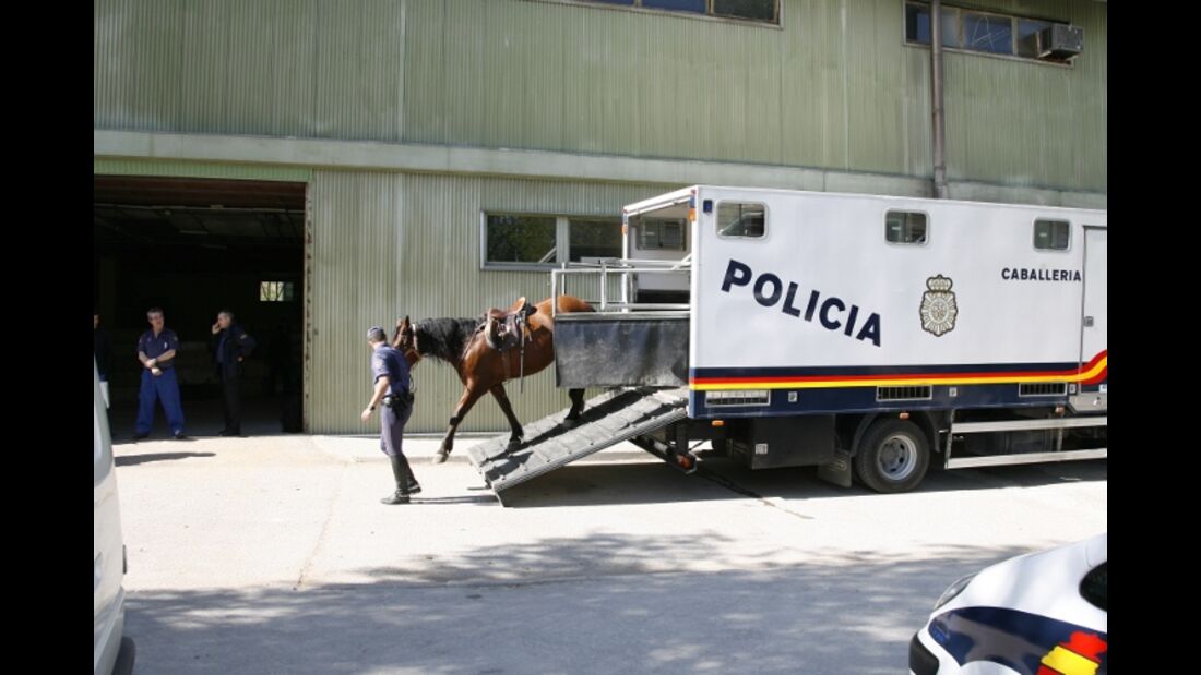 CAV Caballeria Madrid Polizei-Reiter 05