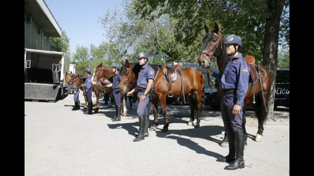 CAV Caballeria Madrid Polizei-Reiter 10