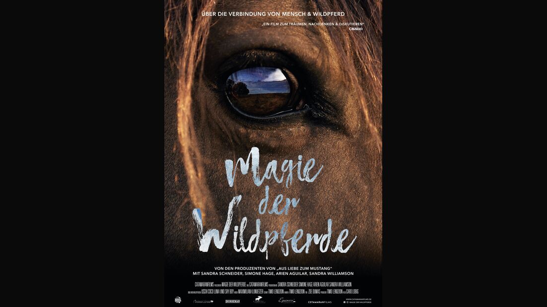 CAV Caro Lobig Magie der Wildpferde Filmplakat