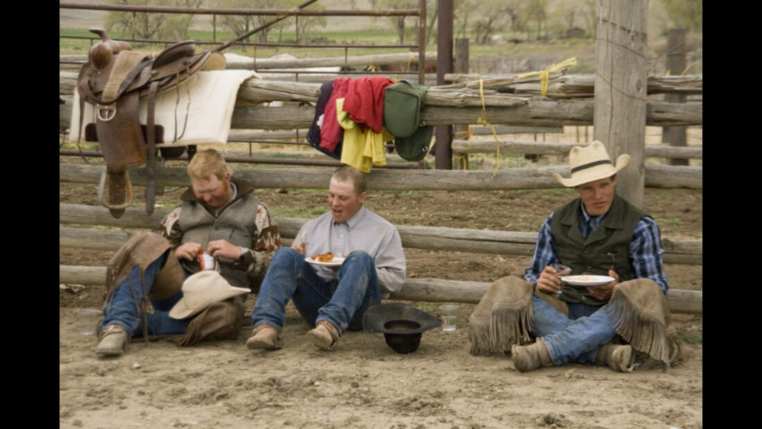 CAV Cattle Drive Western Horsemanship Montana Rinder MS_09