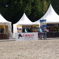 CAV-Cavallo-Academy-2014-3 (jpg)