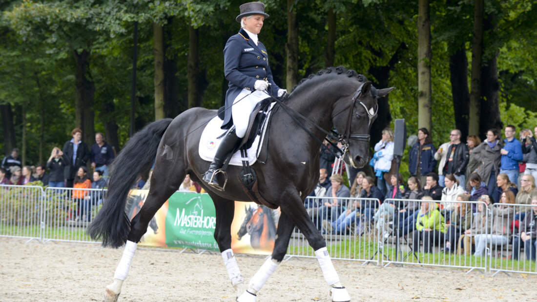 CAV-Cavallo-Academy-2014-47 (jpg)