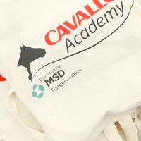 CAV-Cavallo-Academy-2014-50 (jpg)