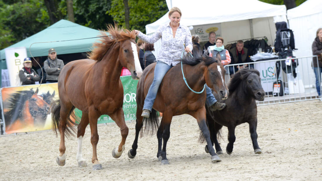 CAV Cavallo Academy 2014 Show Claudia Miller