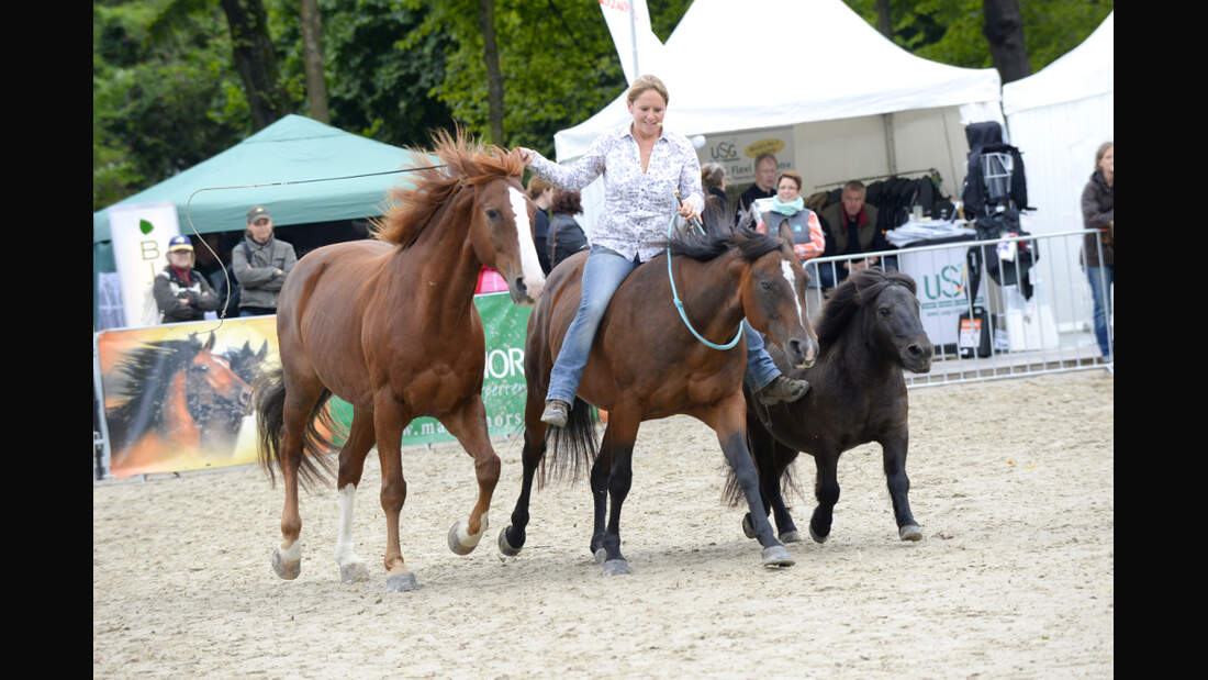 CAV Cavallo Academy 2014 Show Claudia Miller