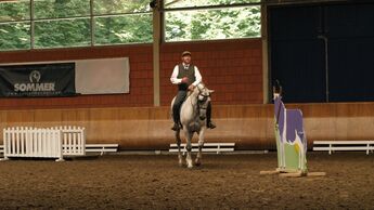 CAV Cavallo Academy 2014 Stefan Schneider Working Equitation