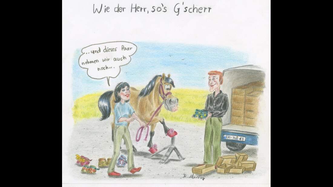 CAV Cavallo-Cartoon Kirsten Marizy Cartoon Karikatur 20