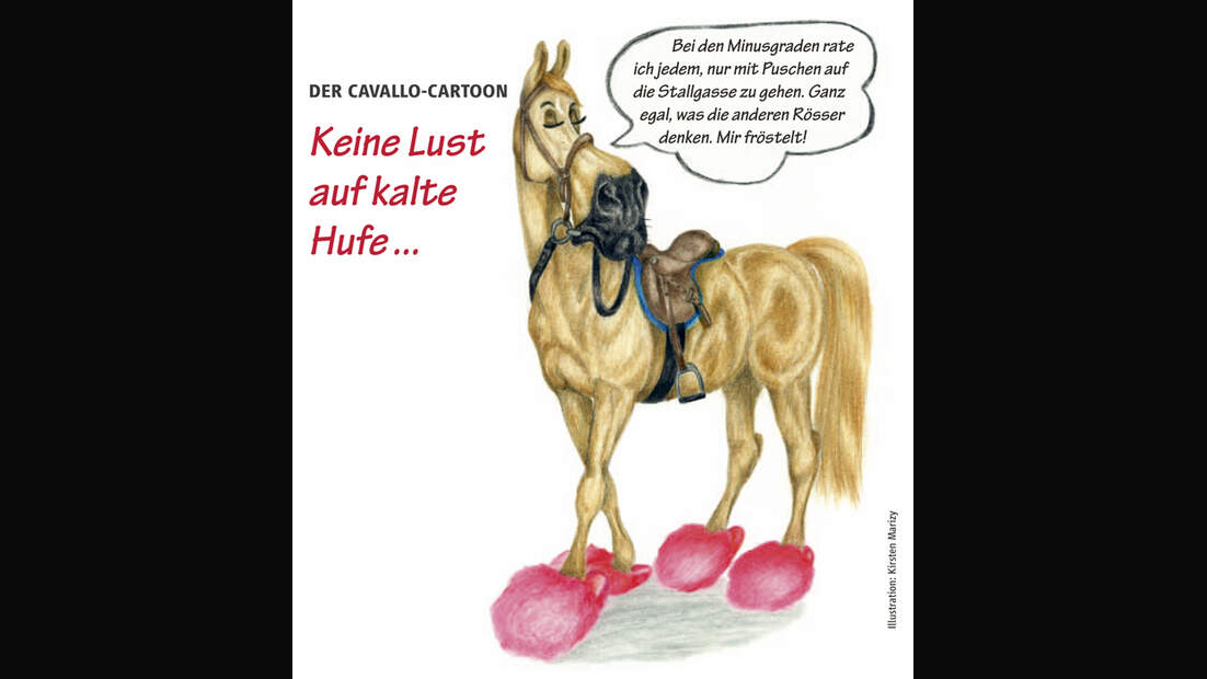 CAV Cavallo-Cartoon Kirsten Marizy Cartoon Karikatur 26