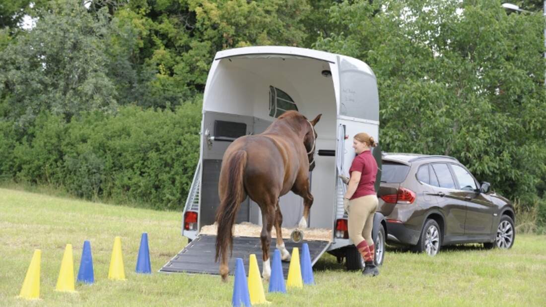 CAV Cavallo Cup Anne Windhager Verladen Hänger MS