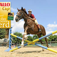 CAV Cavallo Cup Anne Windhager