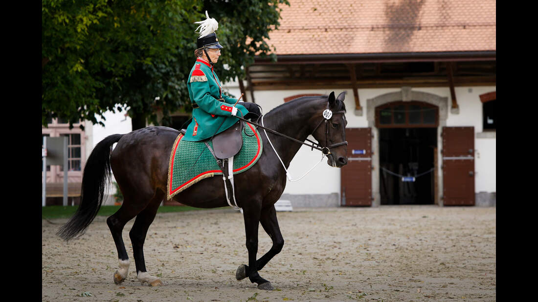 CAV-Damensattel-Reittag-2013-16 (jpg)