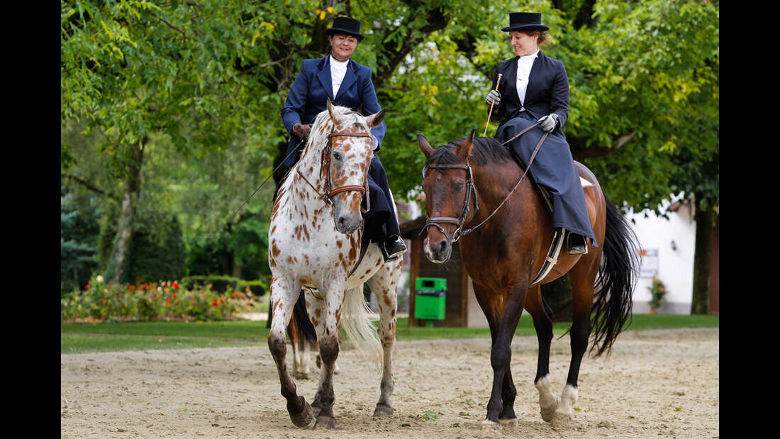 CAV-Damensattel-Reittag-2013-6 (jpg)