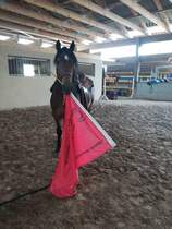 CAV Die Drei Yvonne Gutsche Unique Training 2