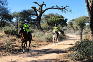 CAV-Distanzreiten-Namibia-01