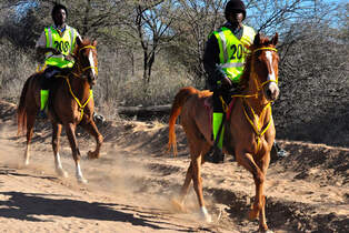 CAV-Distanzreiten-Namibia-04