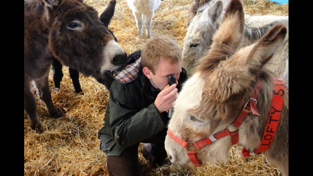 CAV Donkey Sanctuary 7