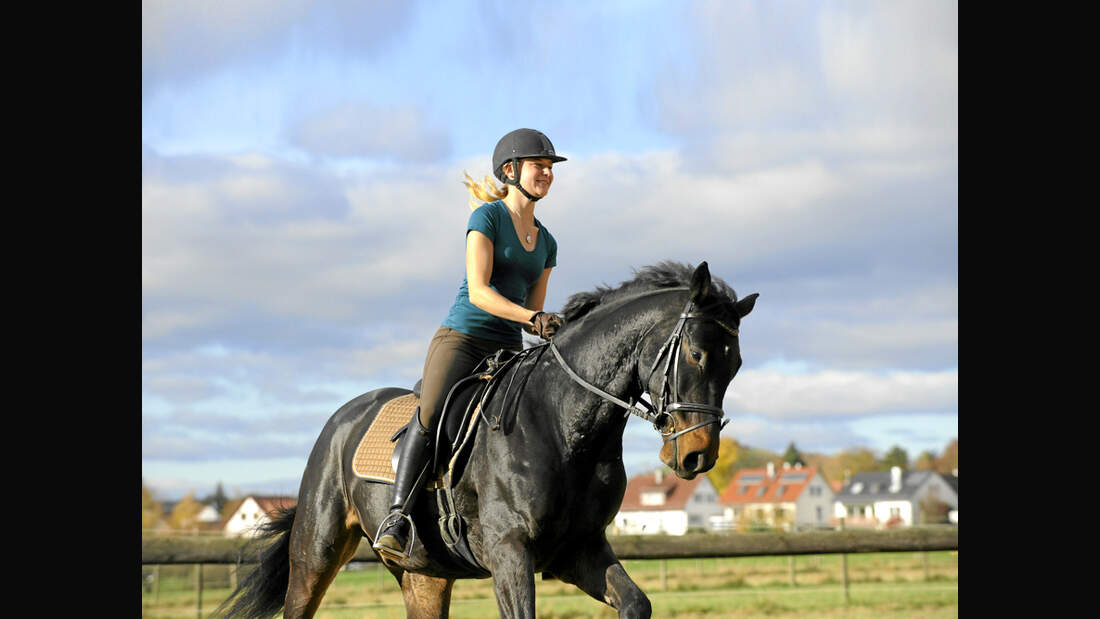 CAV Dressur Coach Galopp Brauner