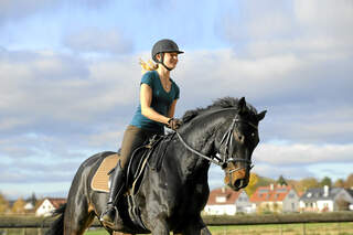 CAV Dressur Coach Galopp Brauner