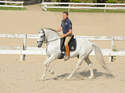 CAV Dressur Reiten David de Wispelaere