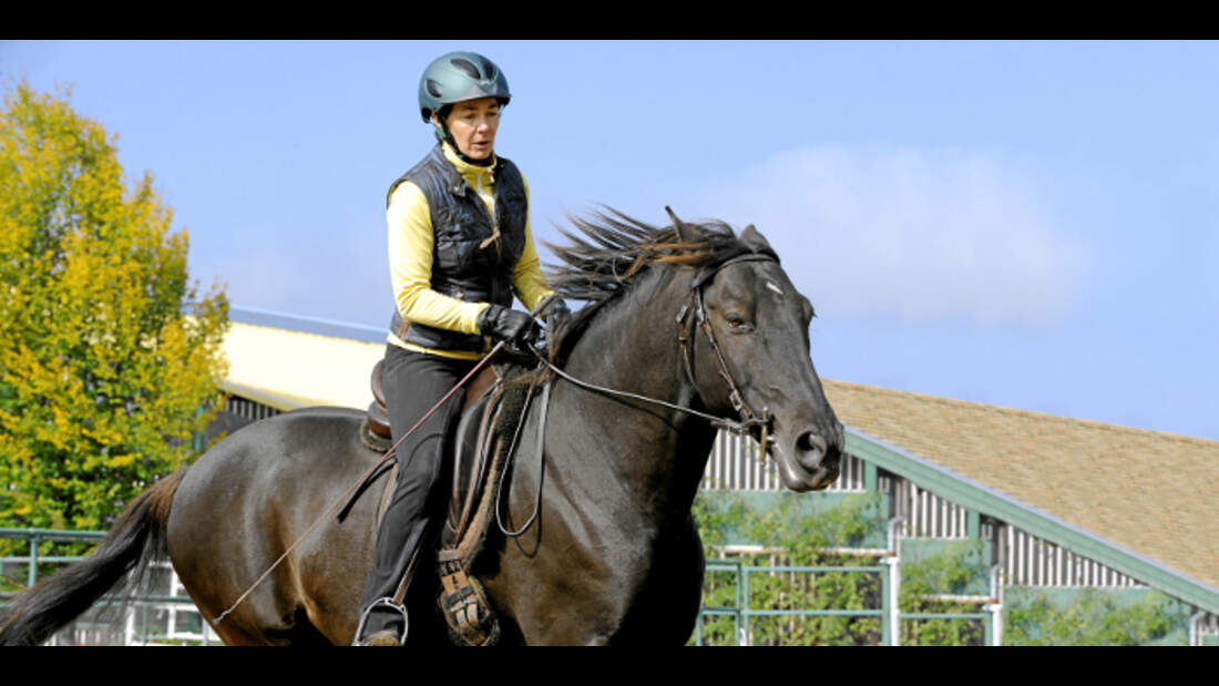 CAV Dressur Sitz Rappe Reithelm