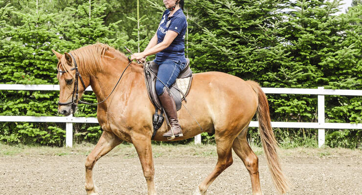 Als Reiter Im Trab Locker Aussitzen So Geht S Cavallo De 