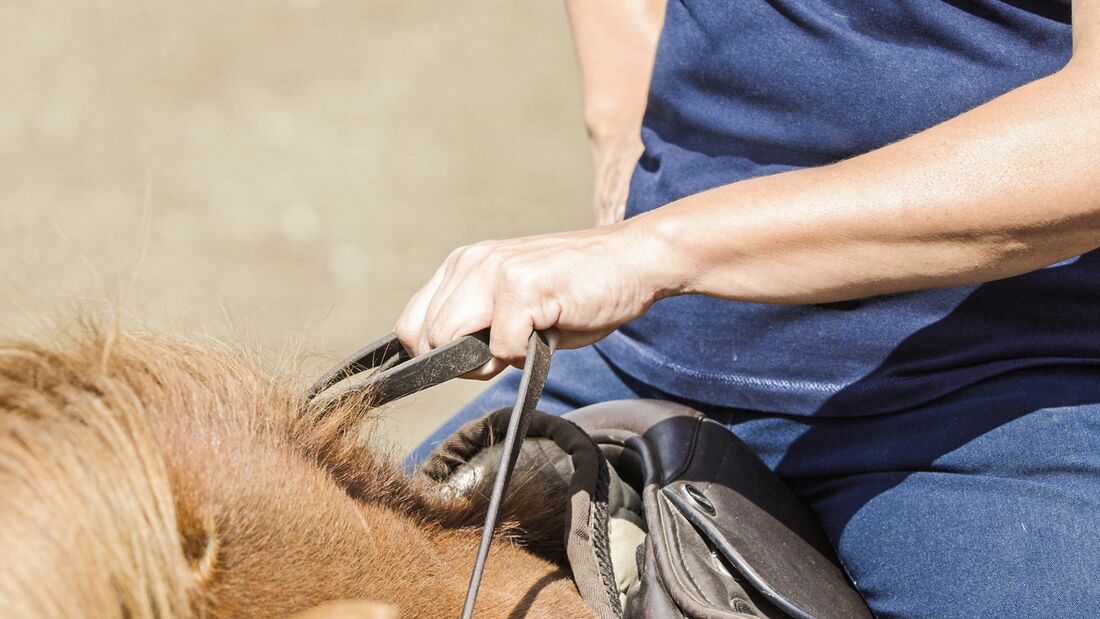 So reiten Sie besser: Einhändig reiten - cavallo.de