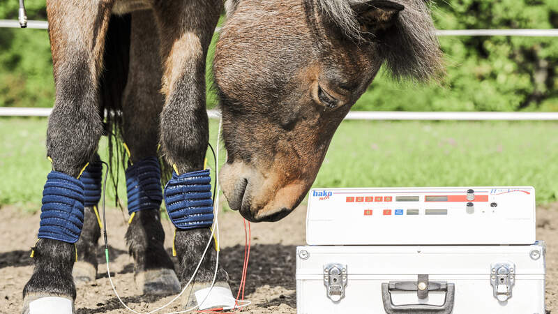 CAV Elektrotherapien Aufmacher
