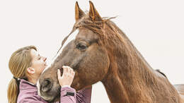 CAV Entscheidungen treffen