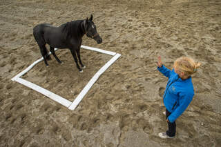 CAV Equiplace Training Geitner
