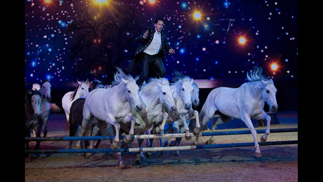 CAV Equitana 2013 Show 10