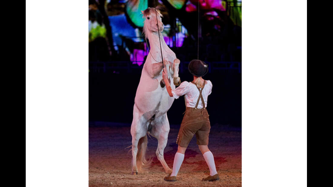 CAV Equitana 2013 Show 6