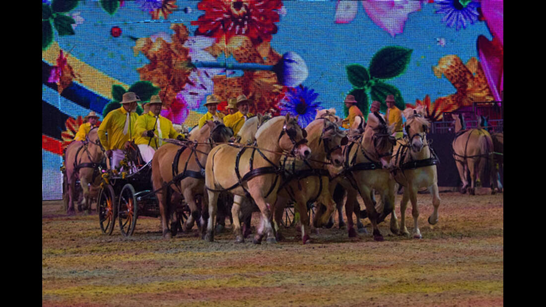 CAV Equitana 2013 Show 9