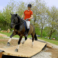CAV-Extreme-Trail-Park-6 (jpg)