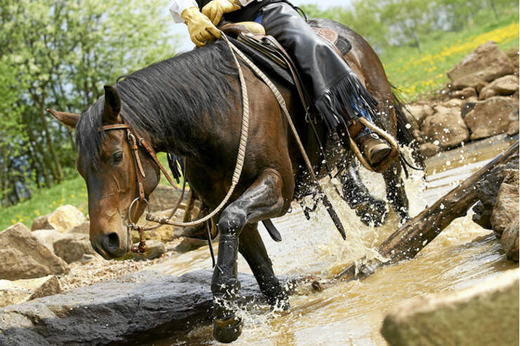 easyboot trail vs cavallo easyboot trail vs cavallo