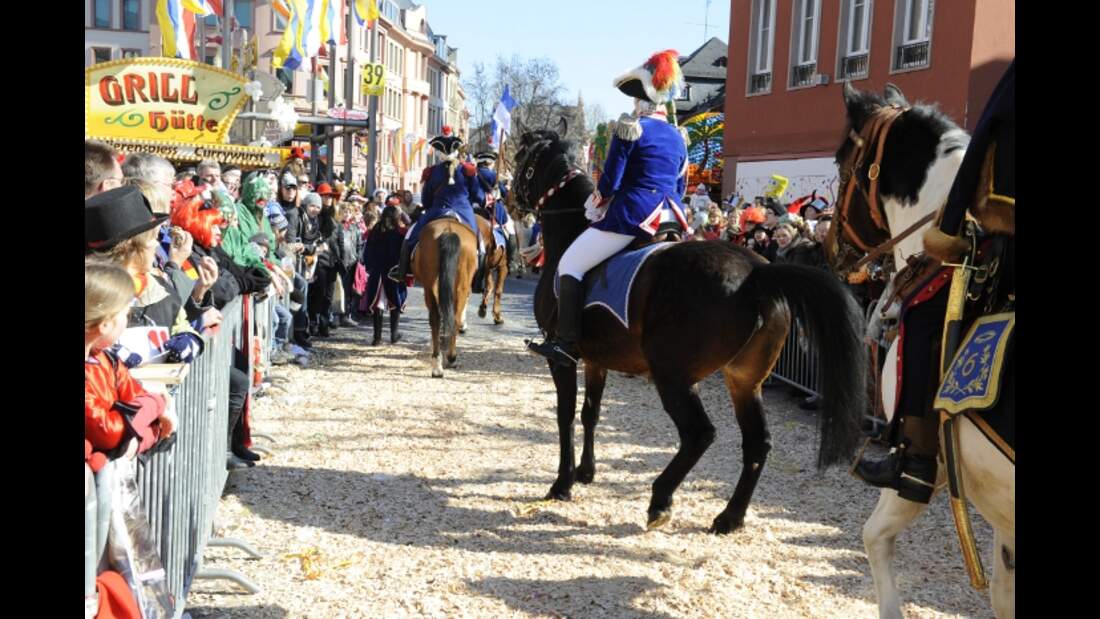 CAV Fasching Mainz Umzug Pferd scheut MS