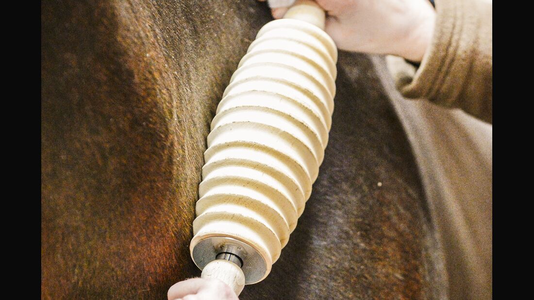 CAV Faszien Pferd Training Pflege TL Aufmacher