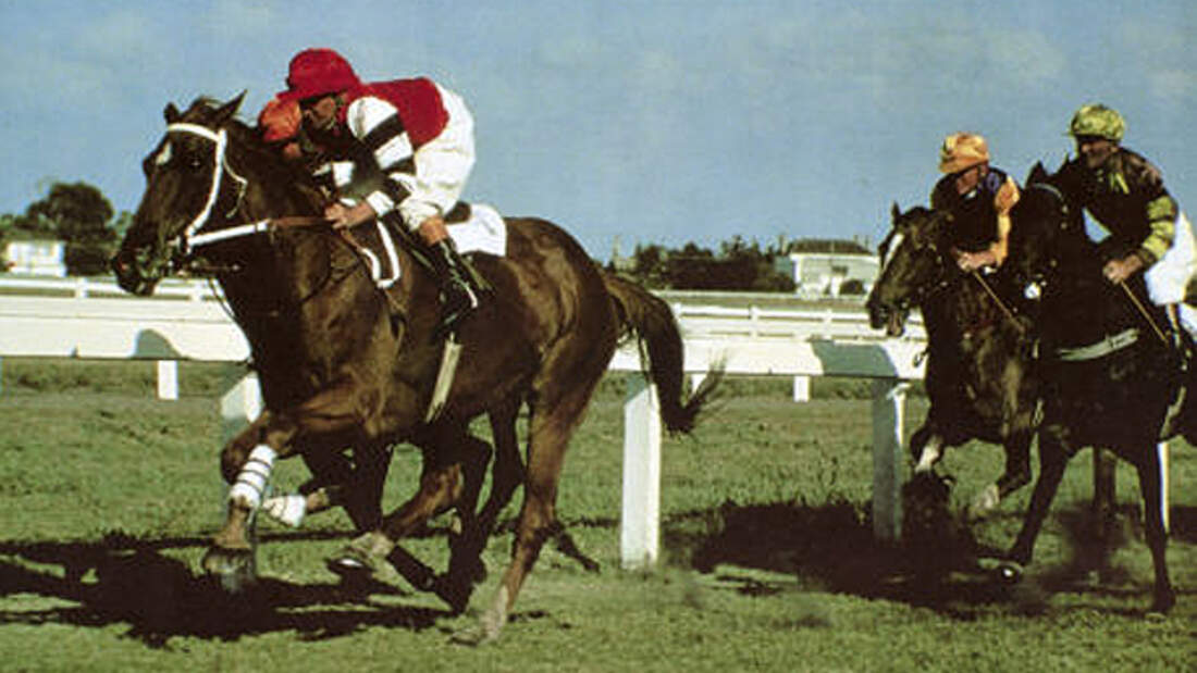 CAV Film Kino Phar Lap 6