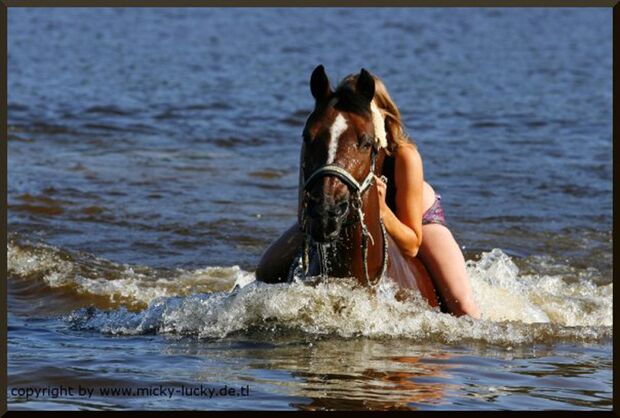 CAV Fotowettbewerb BR Pferde baden Jennifer Ziener