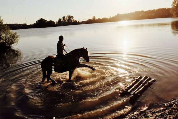 CAV Fotowettbewerb BR Pferde baden Julia Neubert
