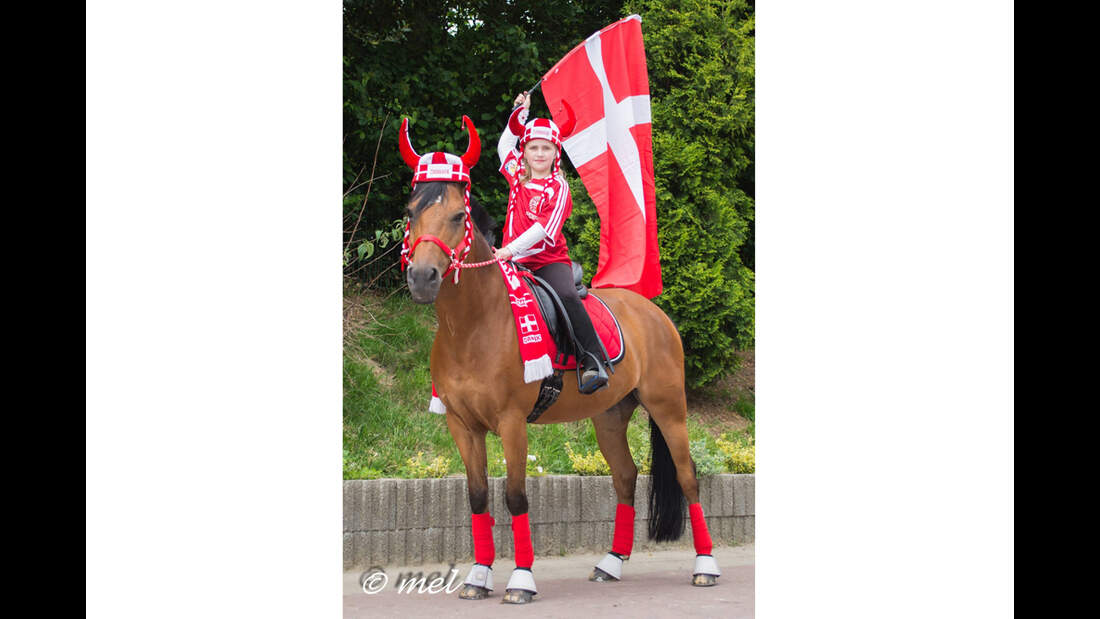 CAV Fotowettbewerb BR ballverrückte Pferde Melanie Sobotta