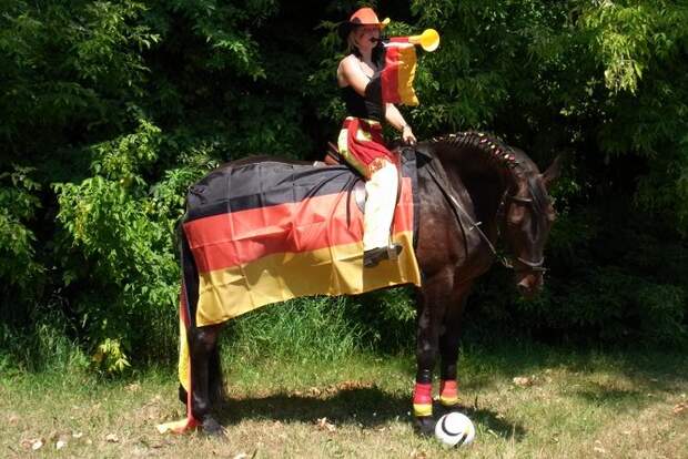 Cavallo kleinanzeigen er sucht sie