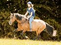 CAV Freiheit und Grenzen beim Pferd