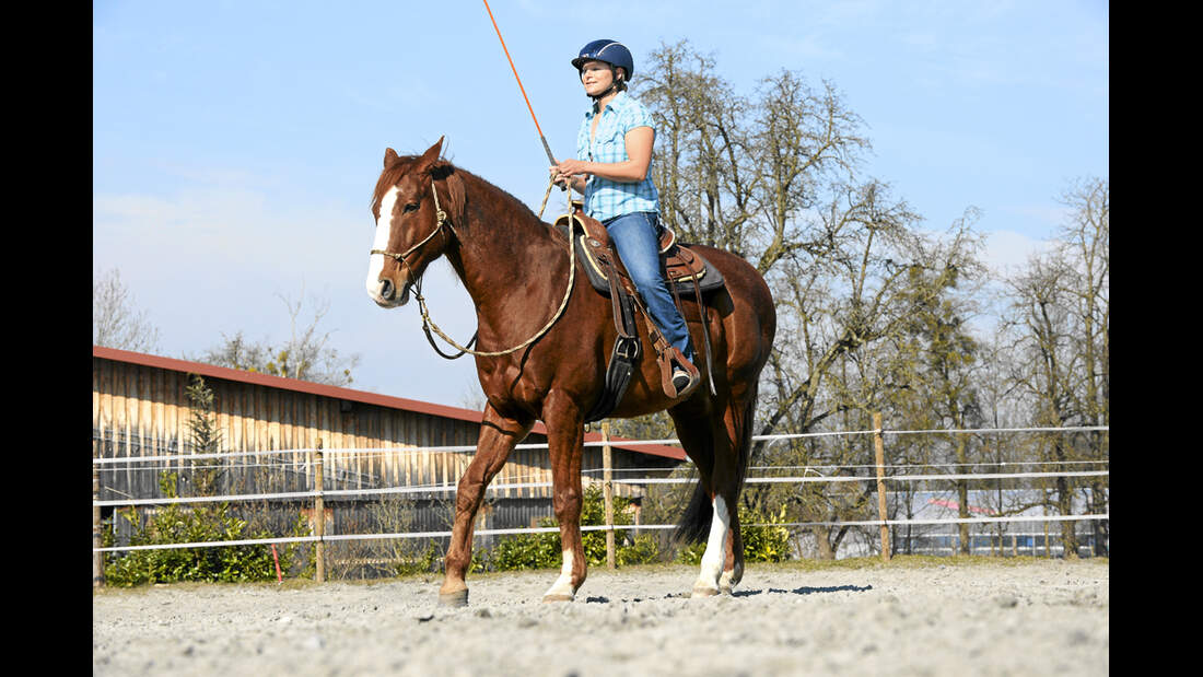 CAV Gebisslos Reiten Claudia Miller