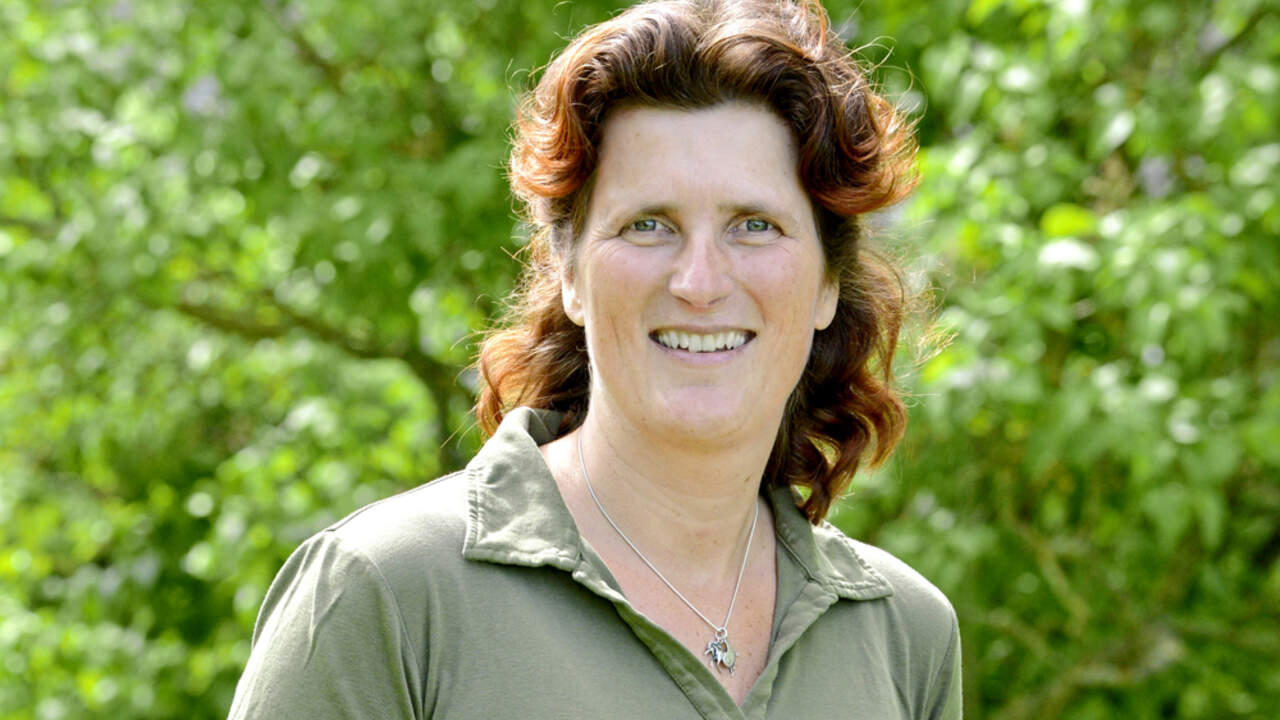 Welcher Zaum Passt Zu Meinem Pferd Cavallo De